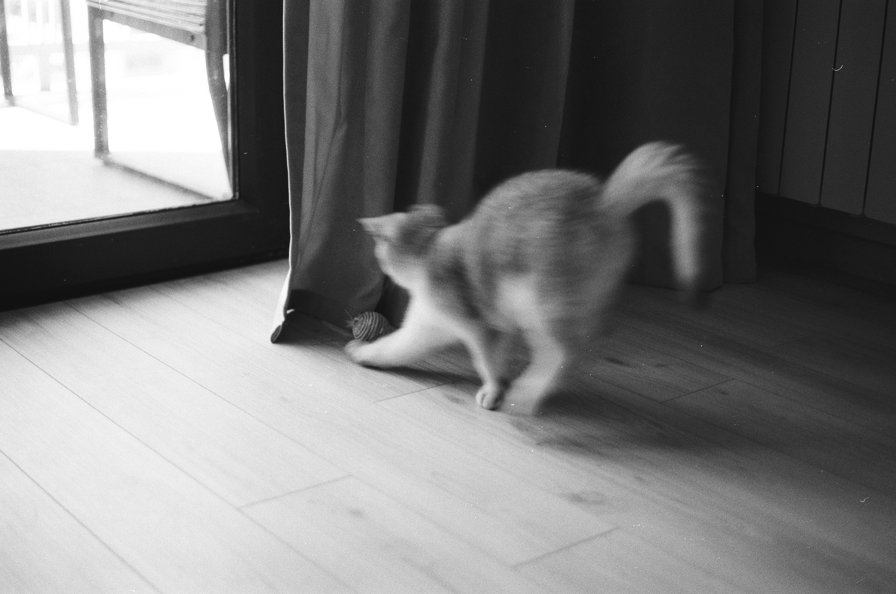 Film 35